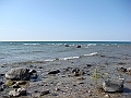 Western Michigan [2010] 792